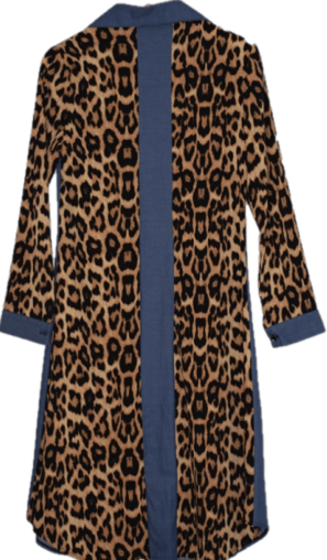 Robe Chemise (Vendu)