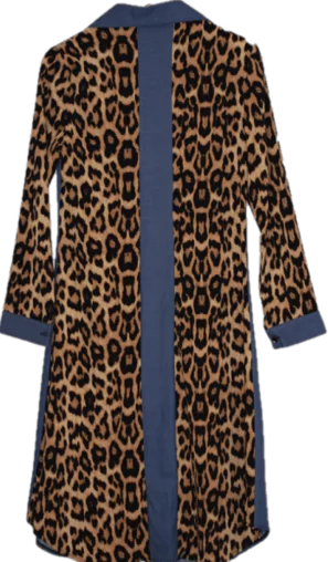 Robe Chemise (Vendu)