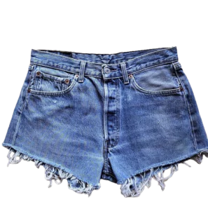 Levi's Strauss 501
